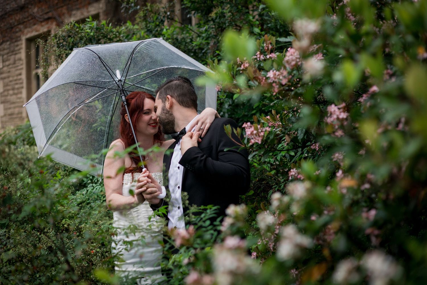 Romantic moment captured through green foliage with clear umbrella.
