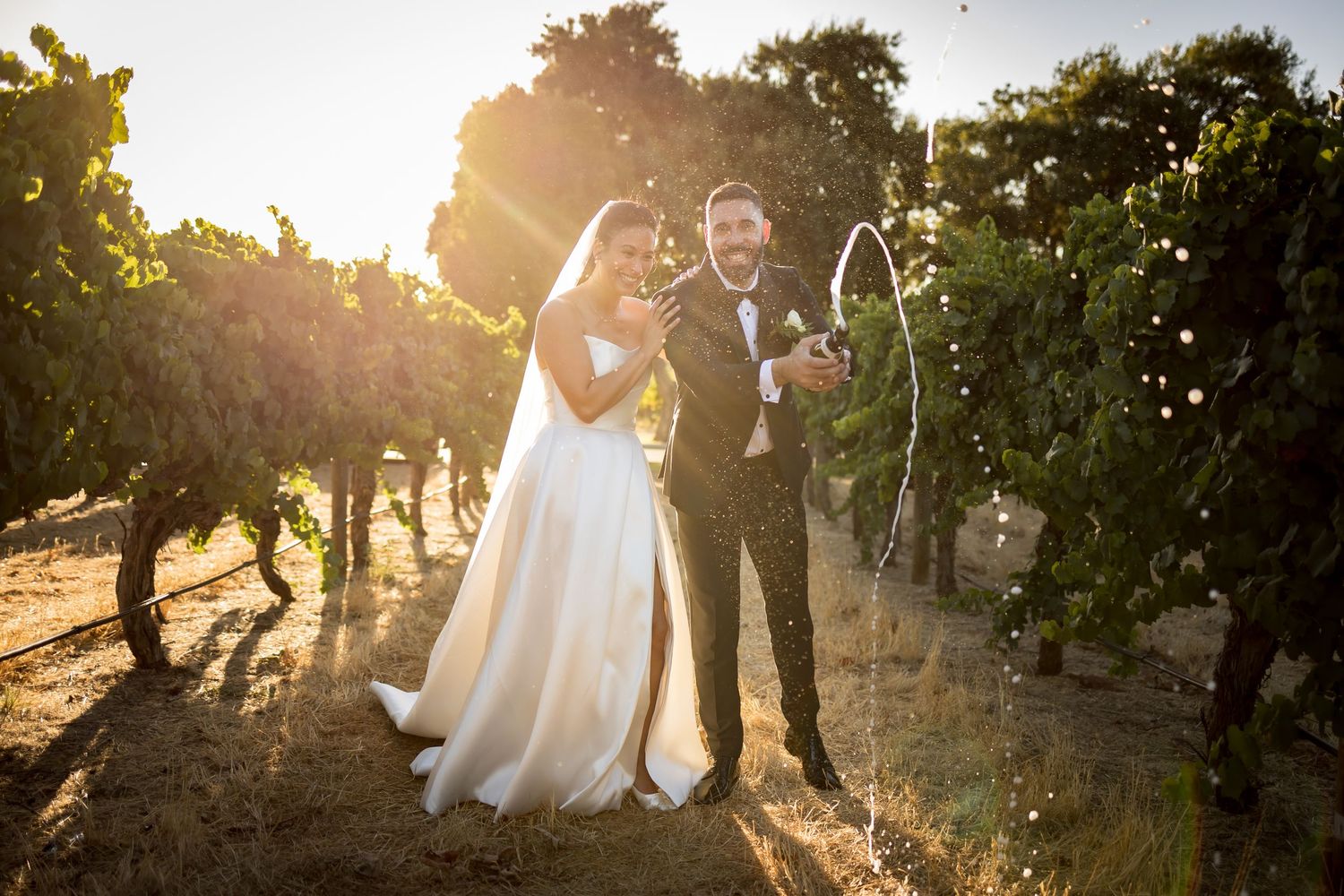Bride and groom popping champagne in a sunlit vineyard, celebrating their wedding day among lush green grapevines.