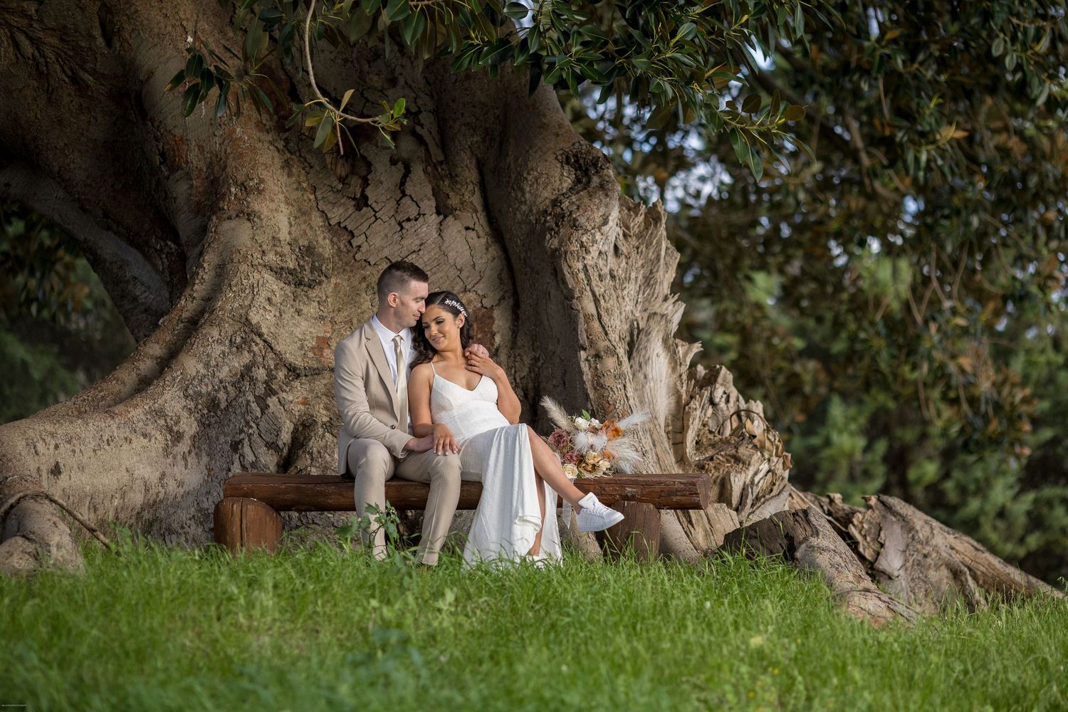 Bride and groom sitting together on a bench beneath a large ancient tree on lush green grass.