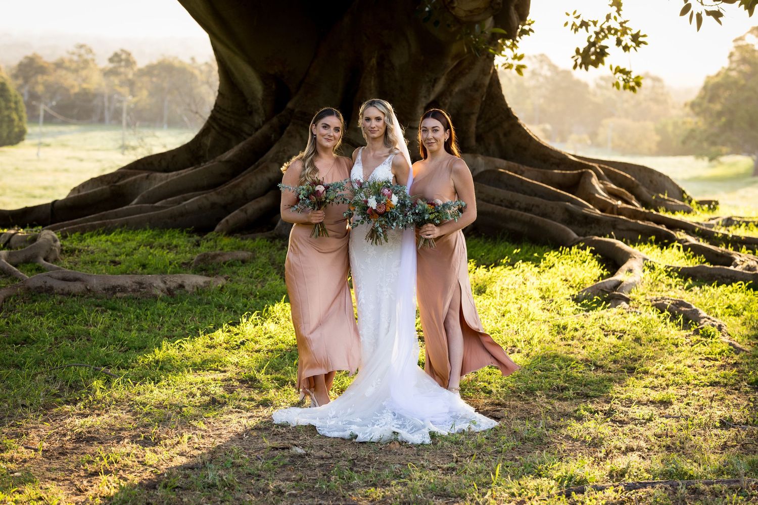 Wedding party poses under trees during sunset with golden light filtering through.