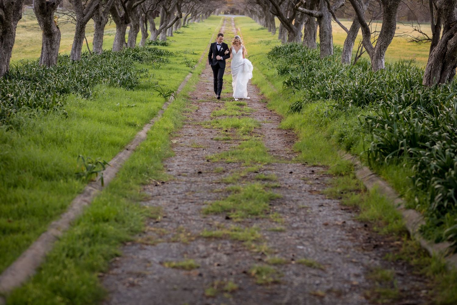 Wedding couple walks down tree-lined path in lush green garden setting.