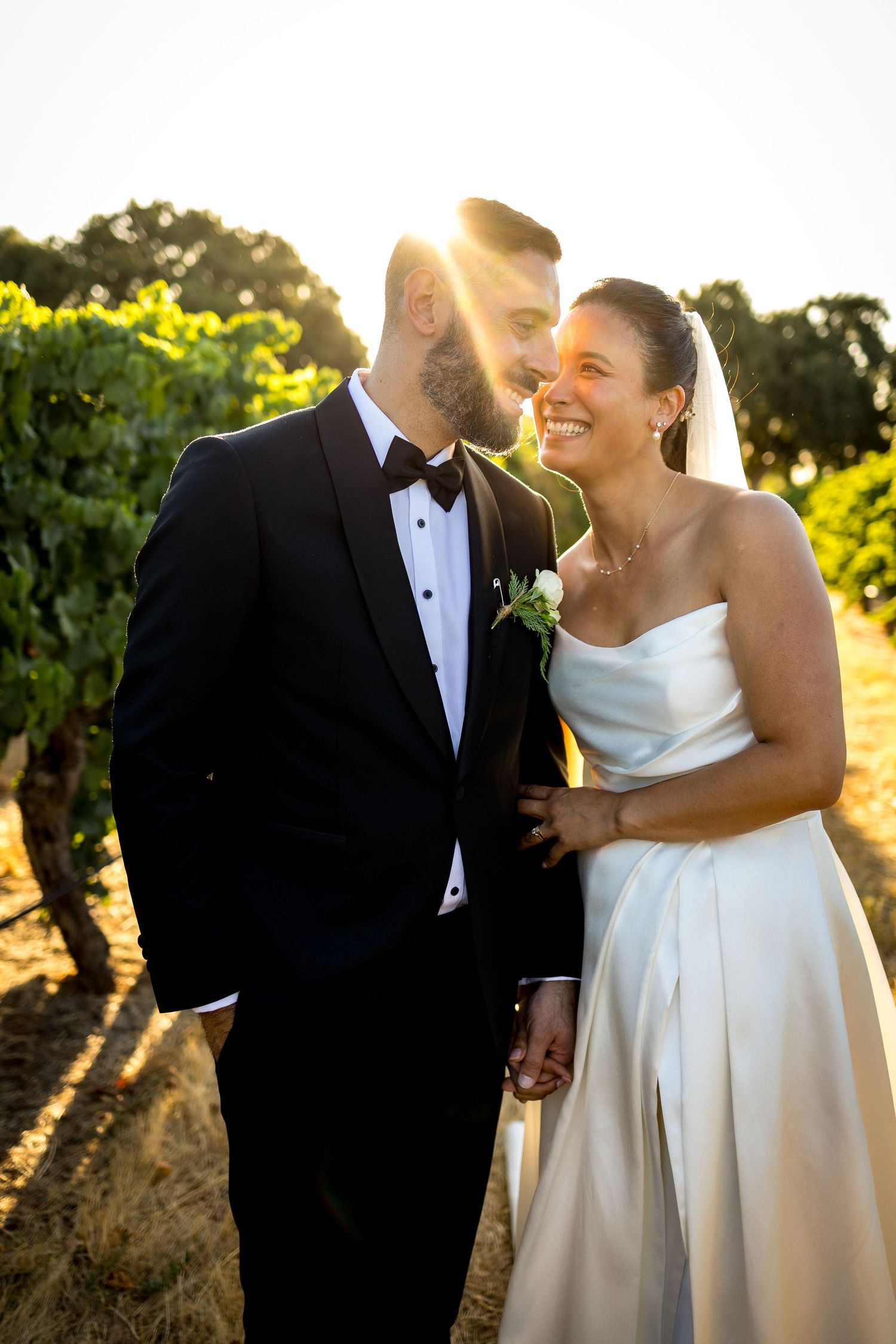 Bride and groom share a romantic moment in a sun-kissed vineyard, with golden backlight and lush greenery.