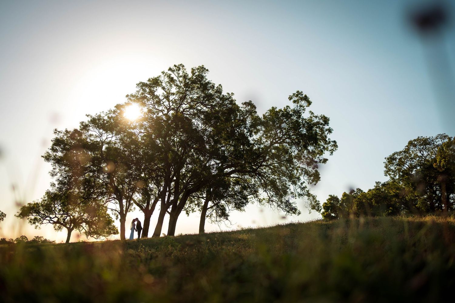 Silhouetted couple standing beneath large oak trees on a grassy hilltop as the sun filters through the branches against a soft blue sky.