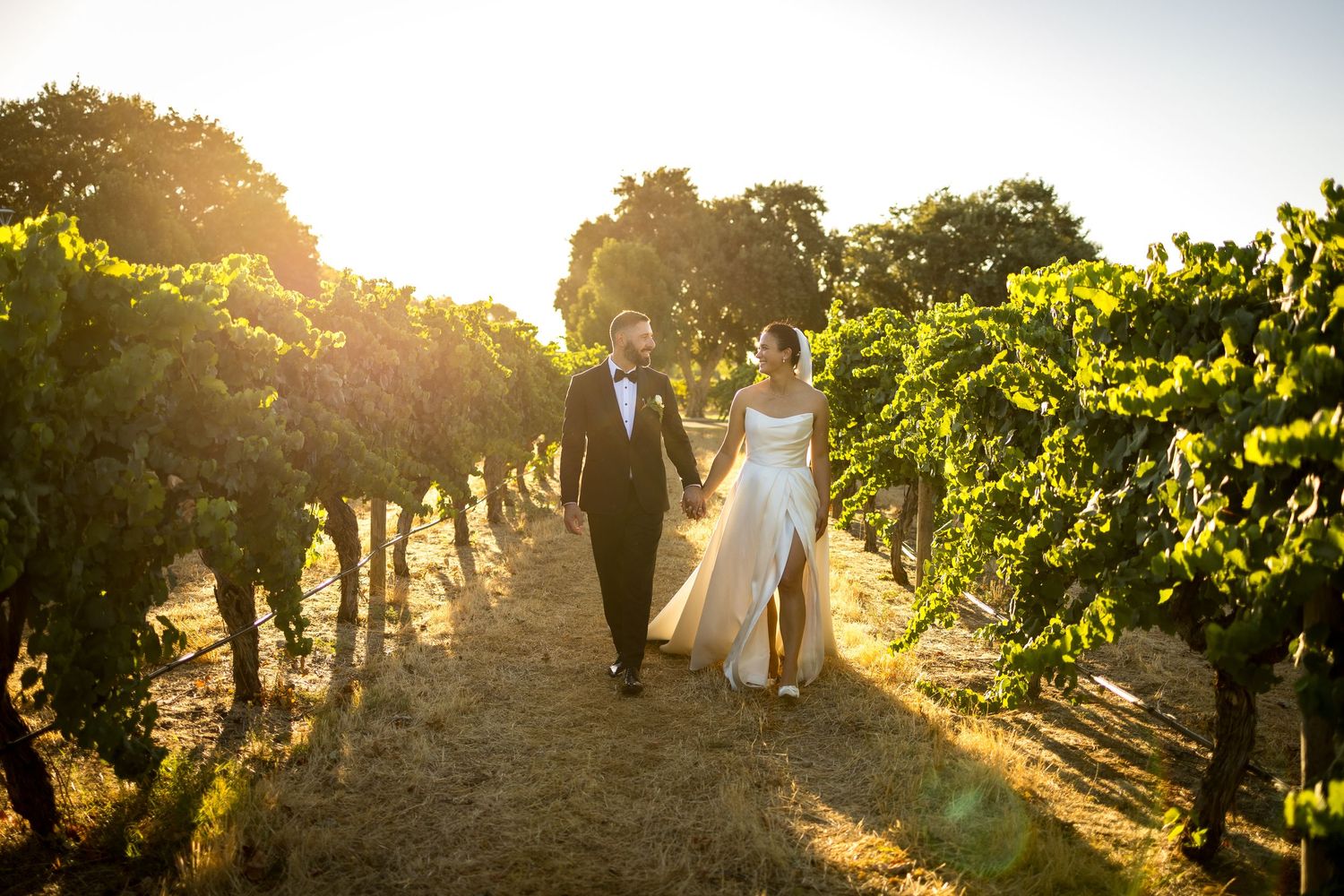 Bride and groom walk hand in hand through sun-drenched vineyard rows during golden hour wedding photography.