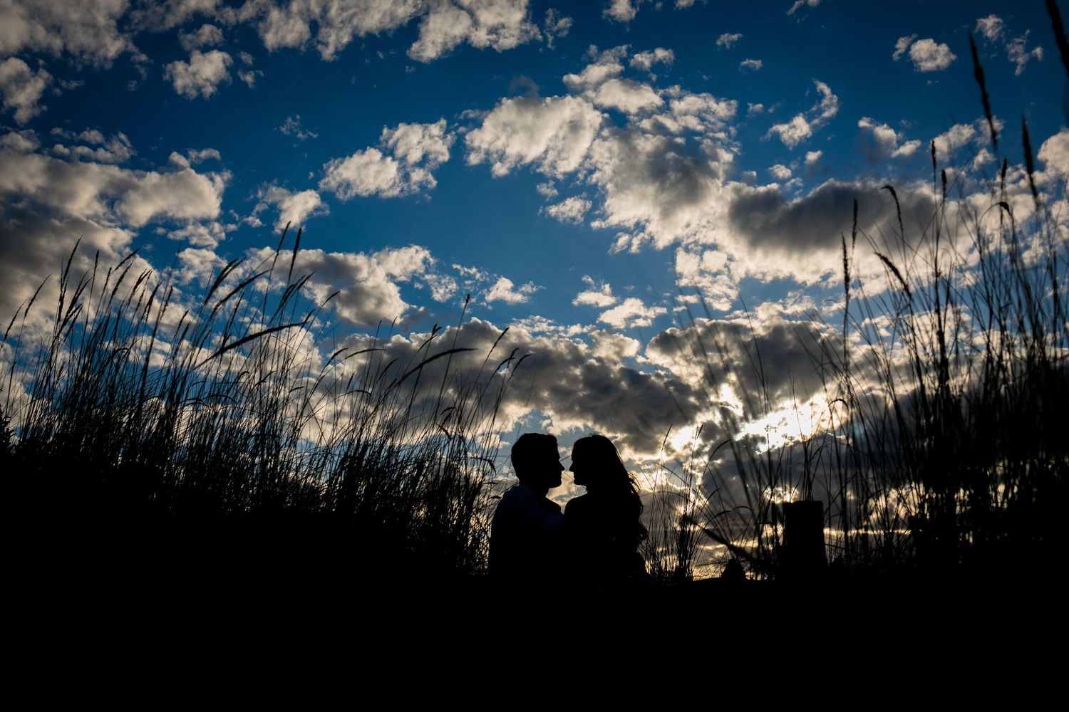 Romantic silhouette of a couple kissing at sunset with dramatic blue sky and clouds behind tall grass.