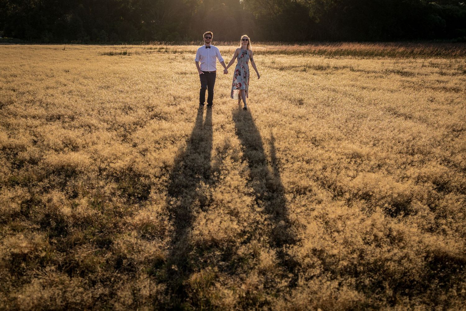 Long shadows cast across a golden field as figures walk in the distance.