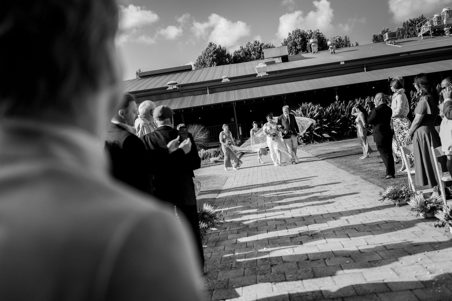 Black and white photo of wedding guests watching the outdoor ceremony procession on a sunny day.