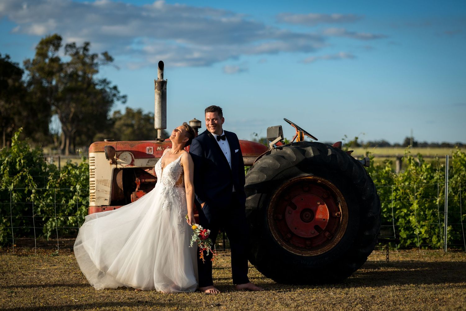 Bride and groom pose together beside a vintage red tractor in a sun-drenched vineyard at golden hour.
