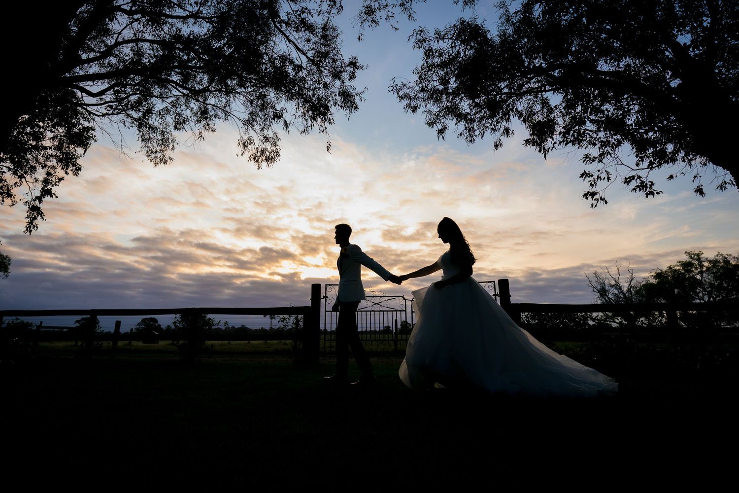 Silhouettes of wedding couple against dramatic sunset sky under tree canopy.