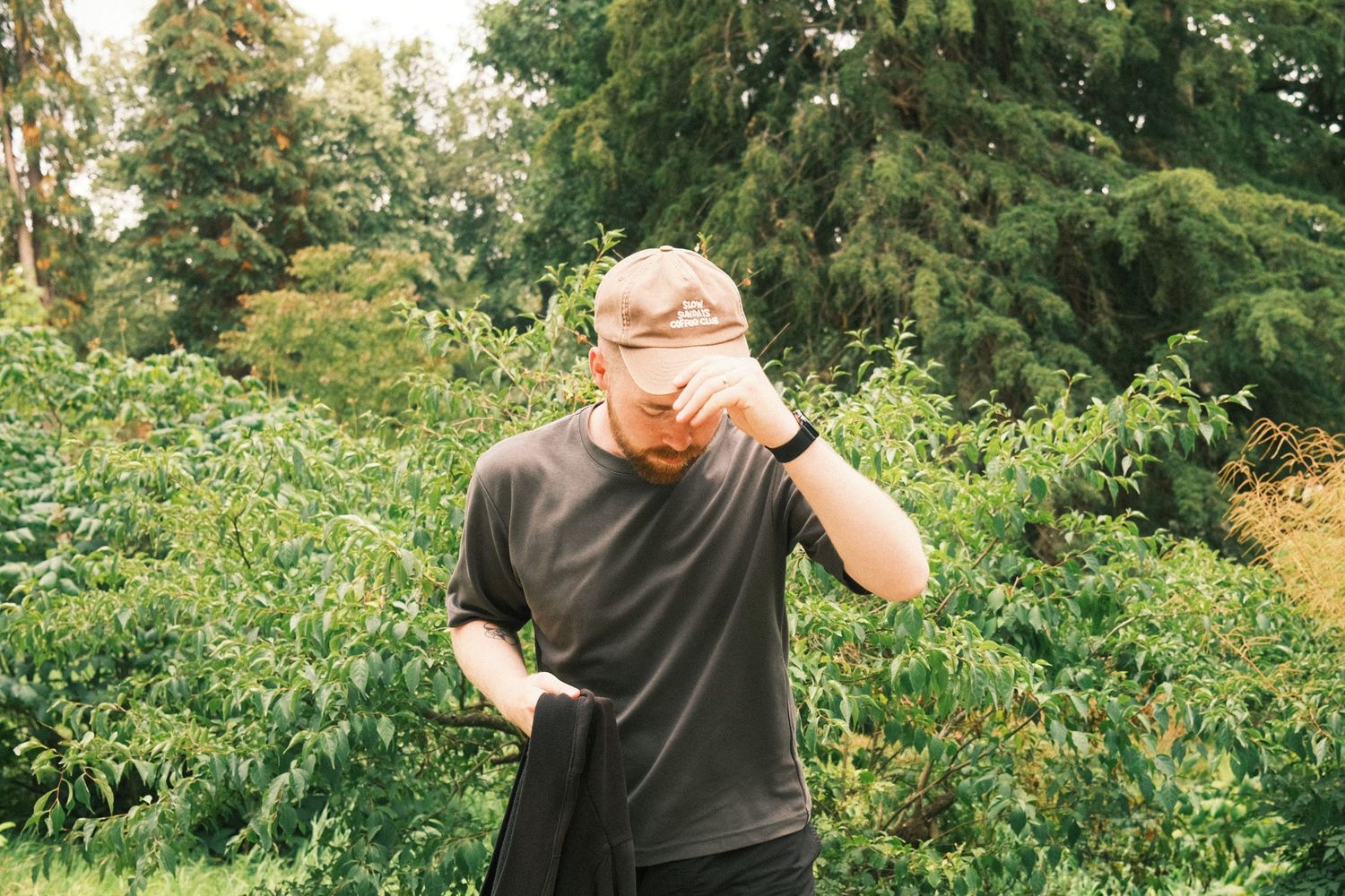 Person in dark shirt picking fresh berries from lush green bushes in a summer garden.
