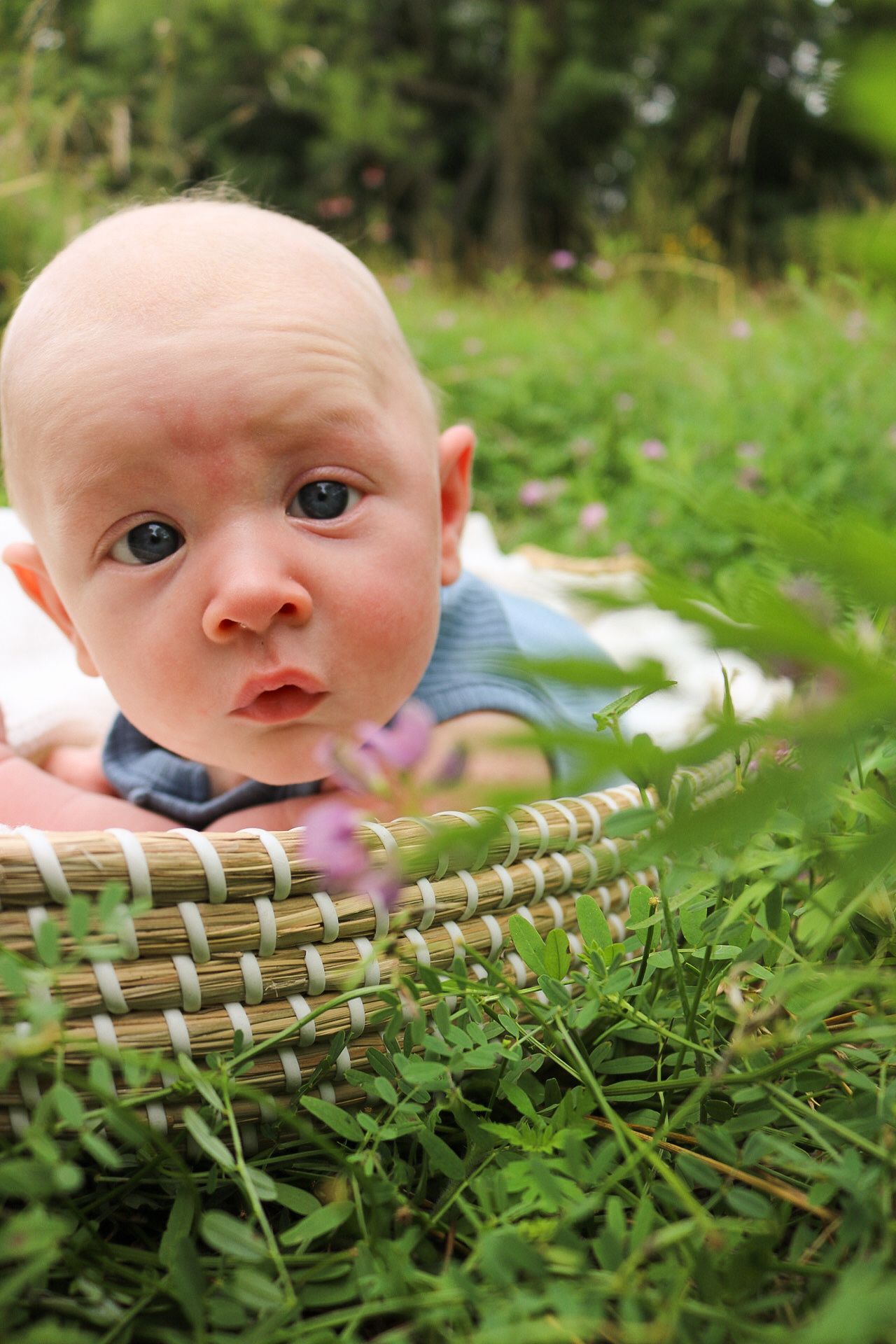 Baby peering curiously from wicker basket surrounded by green grass.