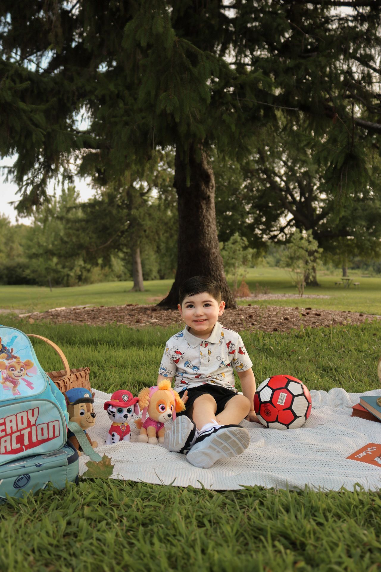 Collection of children's books and stuffed animals arranged on a blanket in grass.