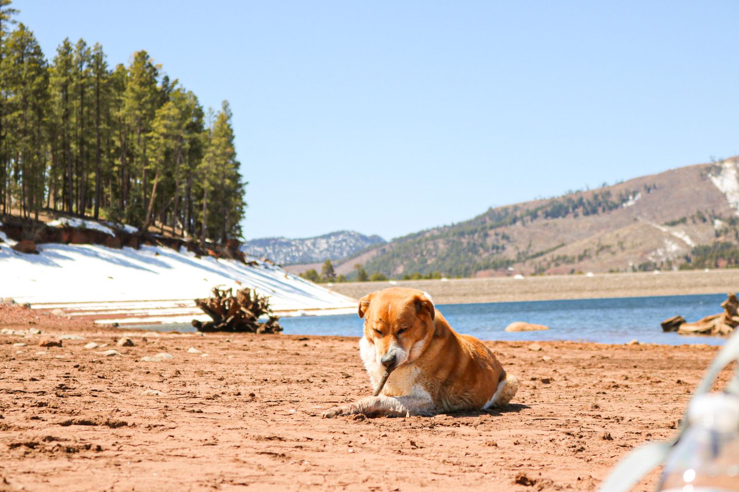Scenic mountain lake view with evergreen trees and shoreline in the background.