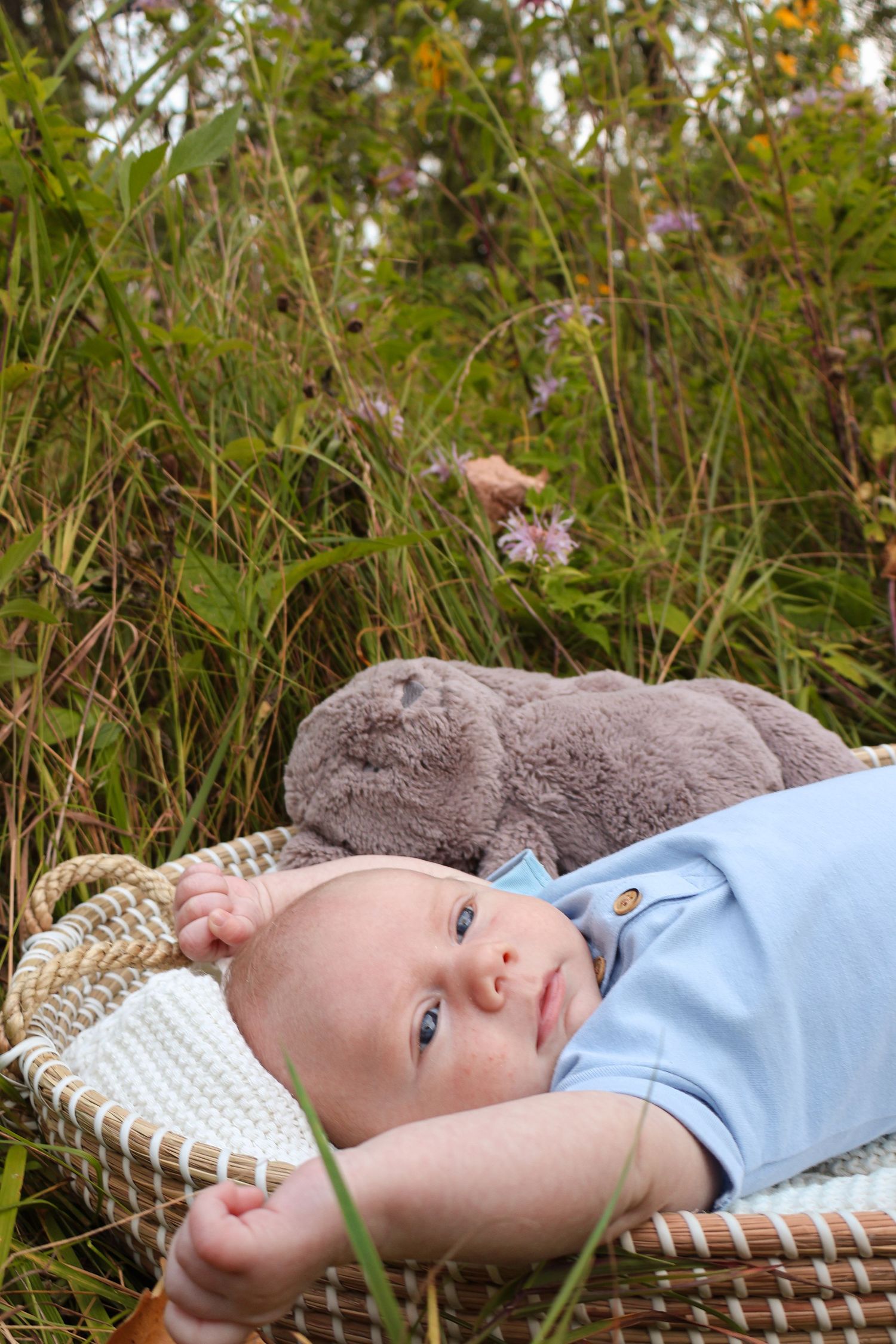 A baby rests peacefully in a woven basket surrounded by wildflowers and grass.
