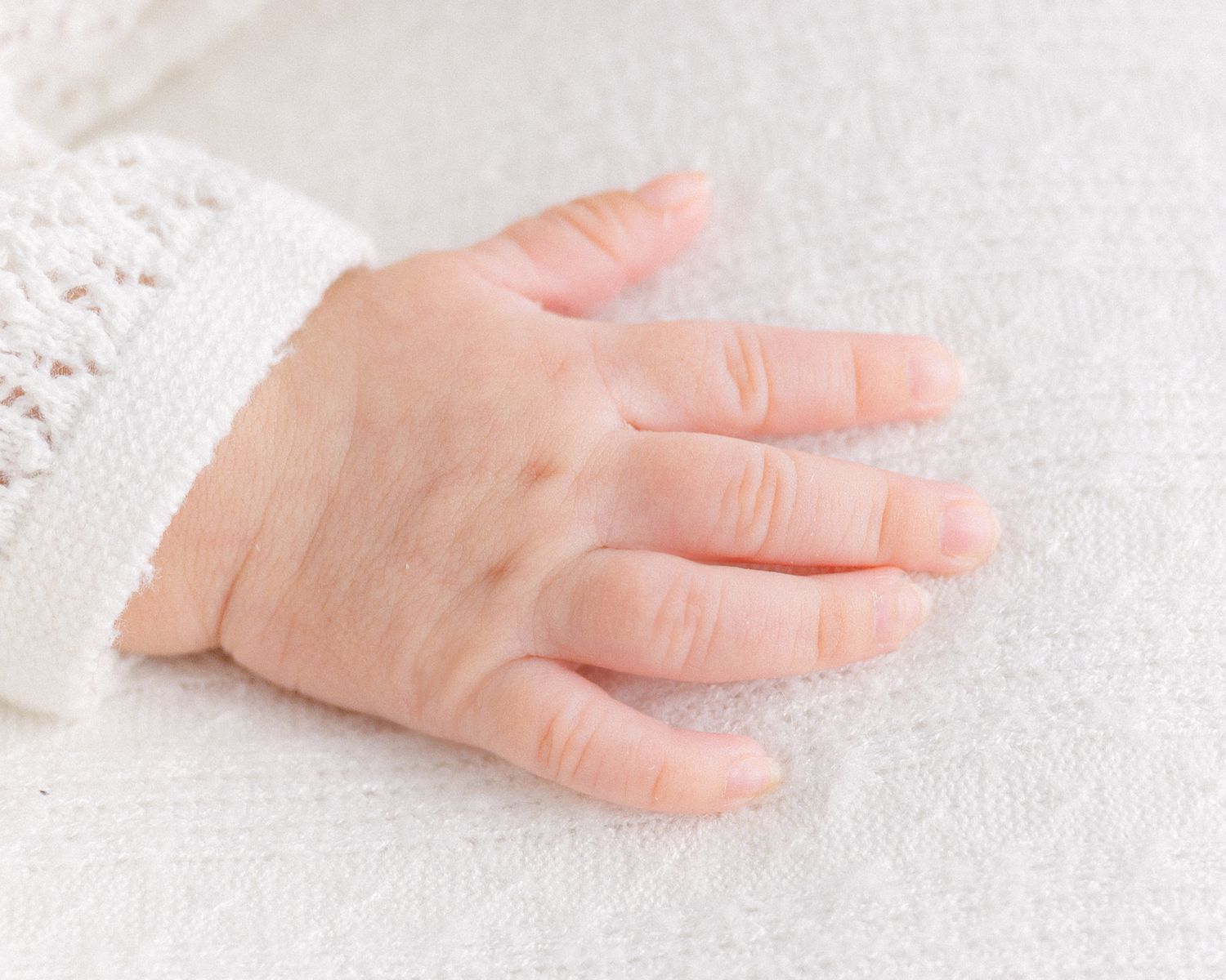 Close up of tiny baby hands resting on white fabric. Appleton, Green Bay & Kaukauna