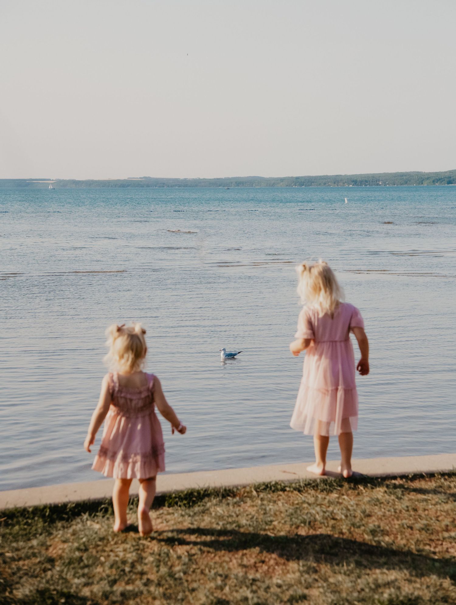 Children in pink dresses walking along shoreline at sunset. Calgary Family and Maternity Photographer