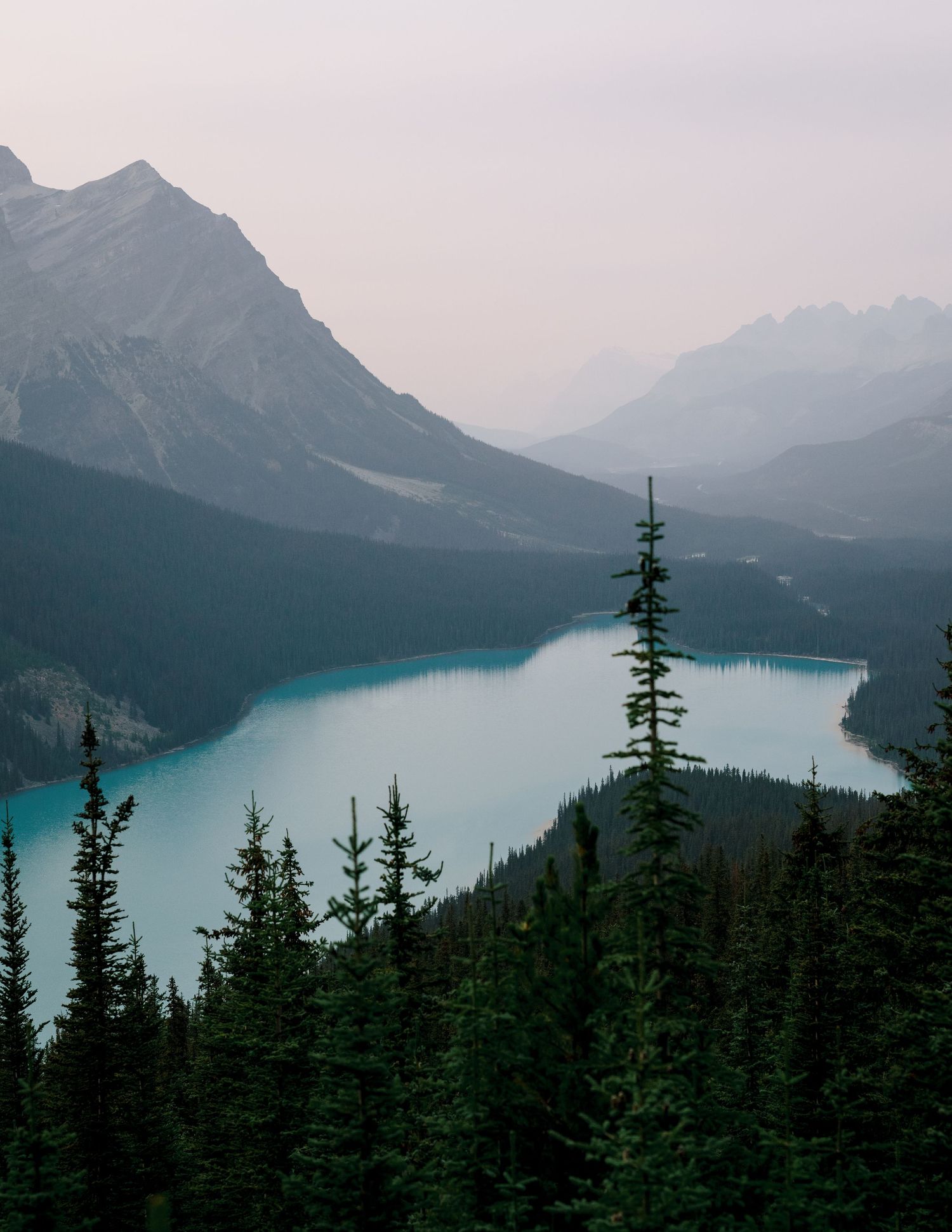 Turquoise lake surrounded by snow-capped mountains and evergreen forest in Banff National Park at dusk.