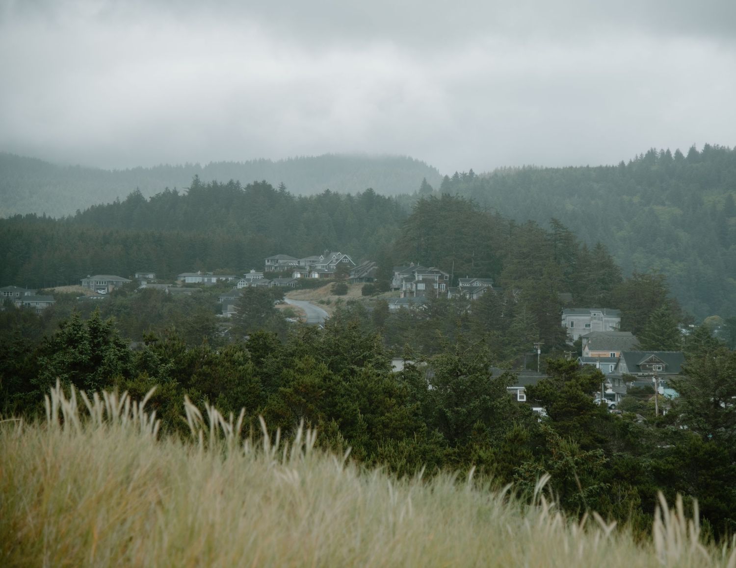 Scenic hillside view of a coastal town with houses nestled among evergreen trees on the Oregon Coast. Calgary Wedding Photographer.