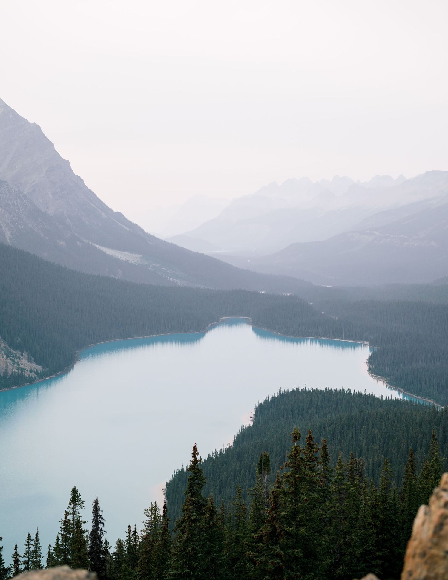 Aerial view of turquoise Peyto Lake surrounded by evergreen forests and snow-capped mountains in Banff National Park, Canada.