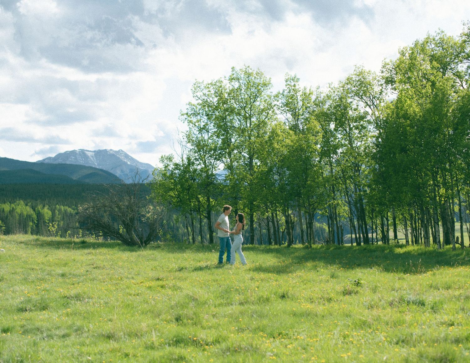 Panoramic view of a mountain landscape with green meadows and forest edges. Calgary Alberta Engagement Photographer.