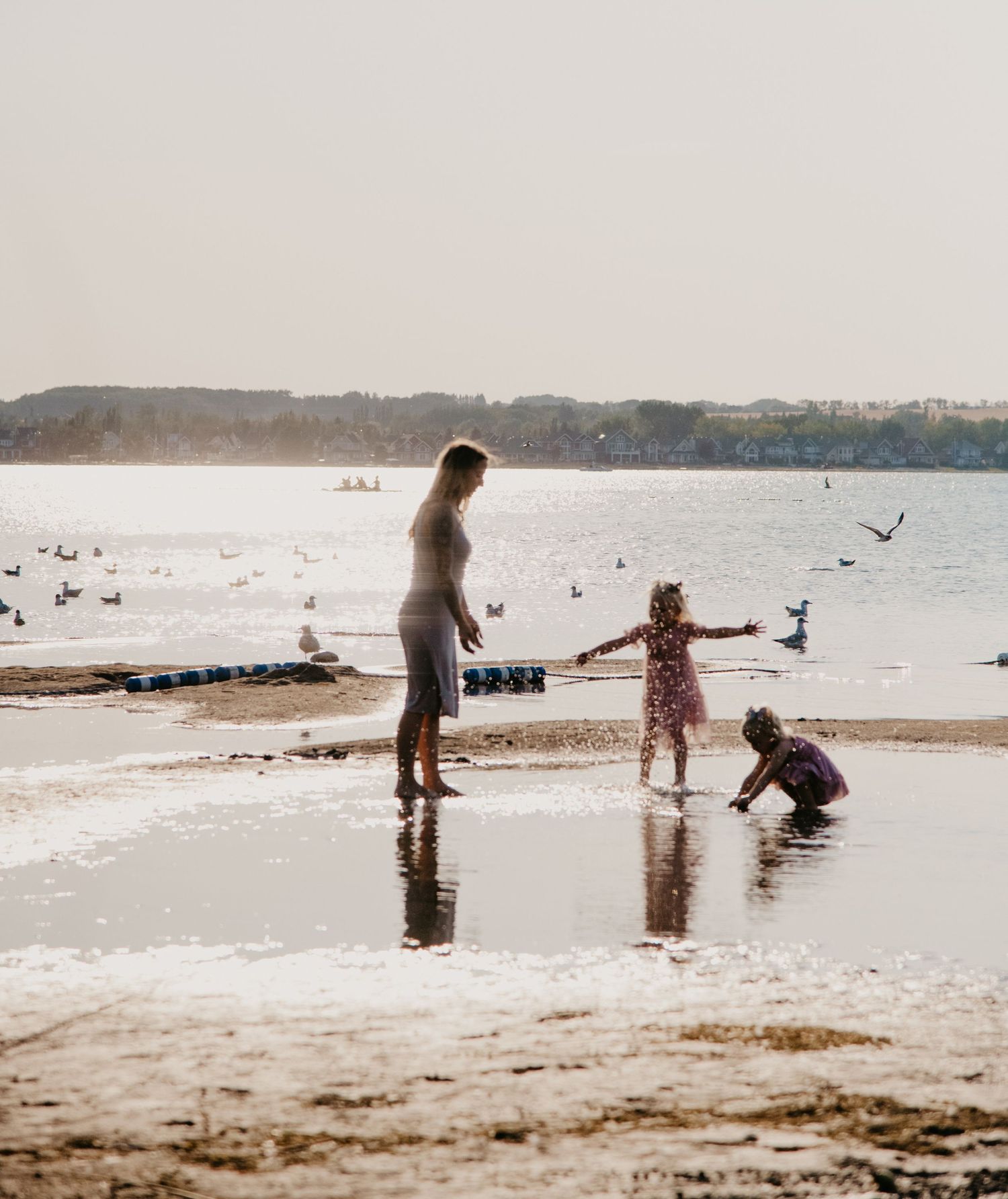 People on a beach shore play near the water with seagulls flying overhead. Calgary Alberta Family Photographer.