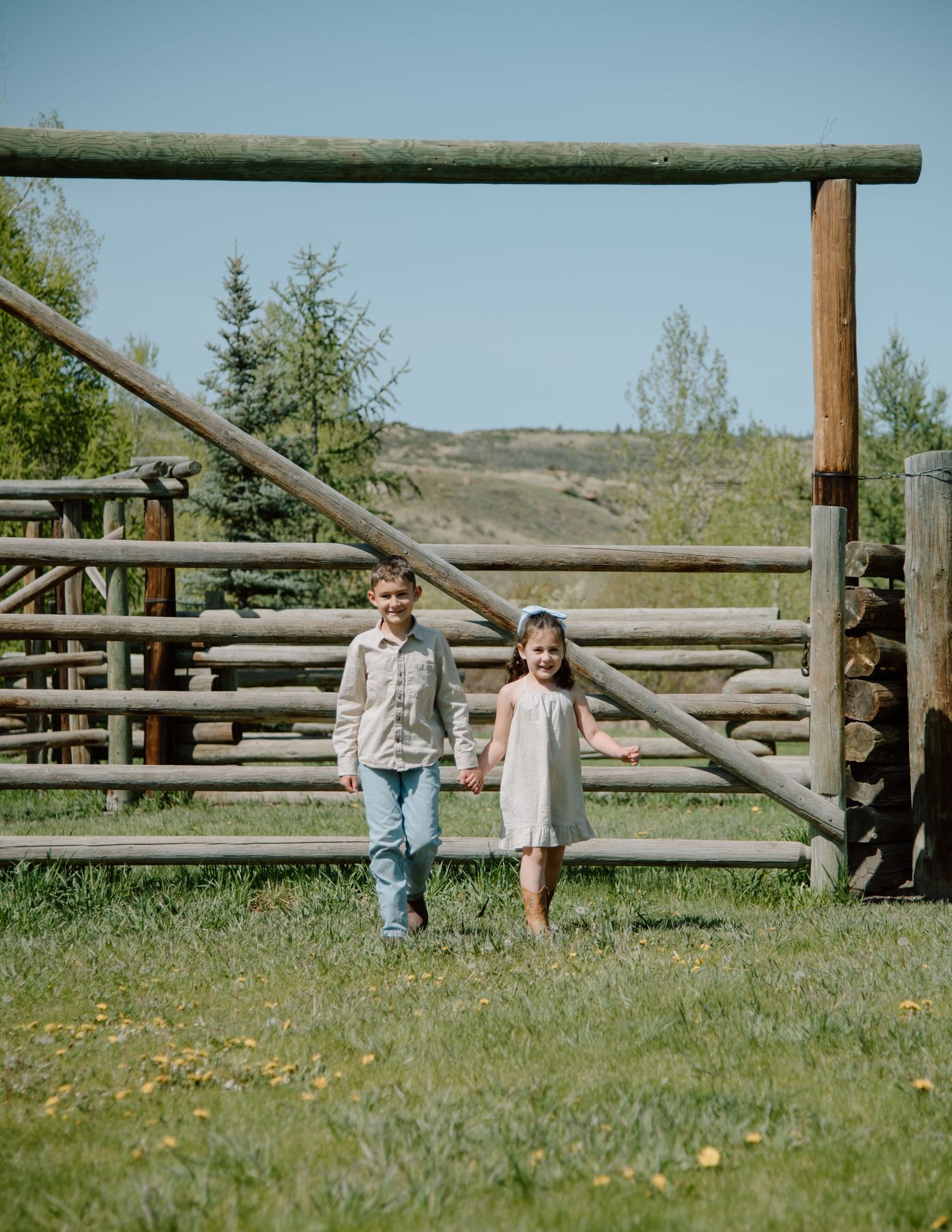 Two children holding hands while standing by a rustic wooden gate on a grassy hillside. Calgary Alberta Family Photographer.