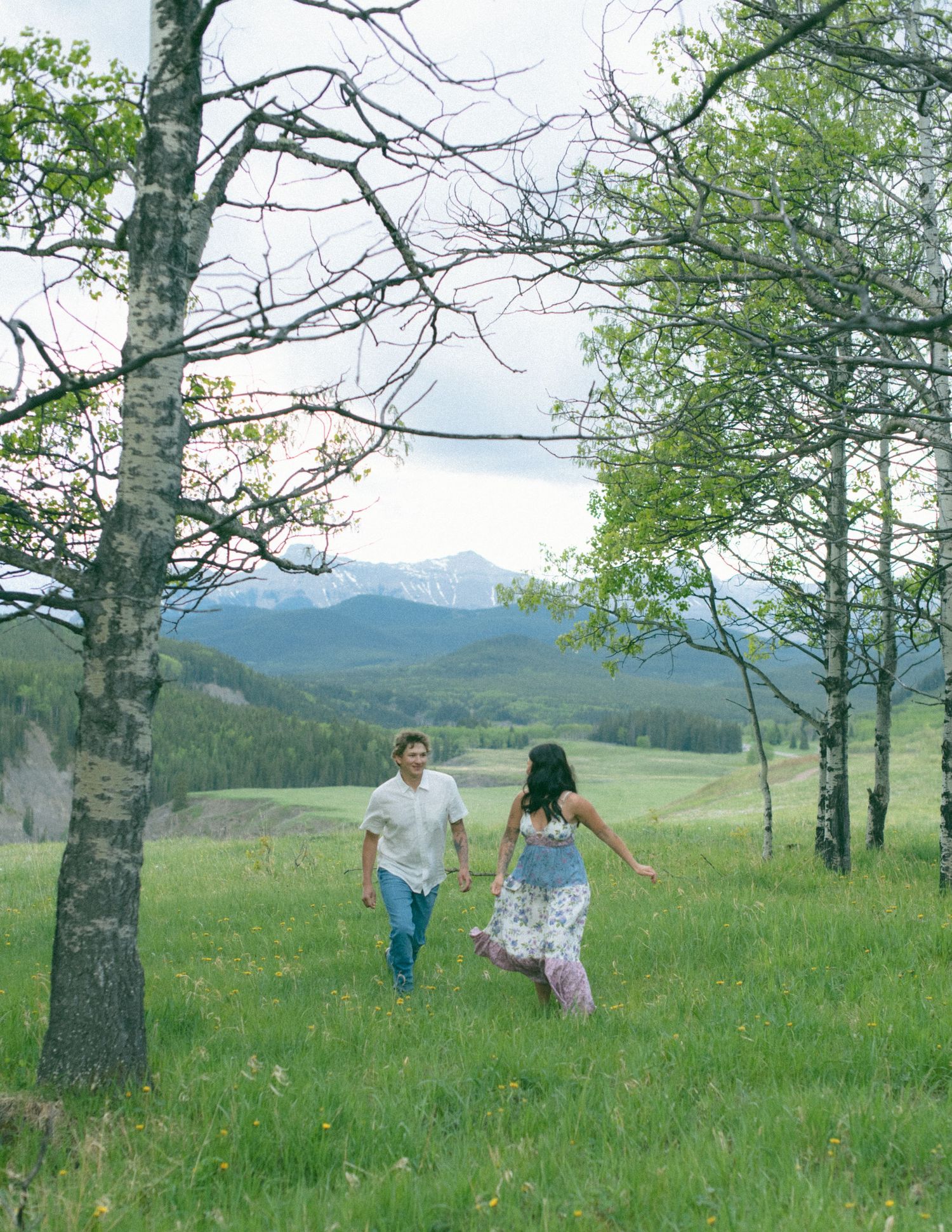 A couple runs through a mountain meadow with aspen trees and mountains in the distance. Calgary Alberta Engagement Photographer.