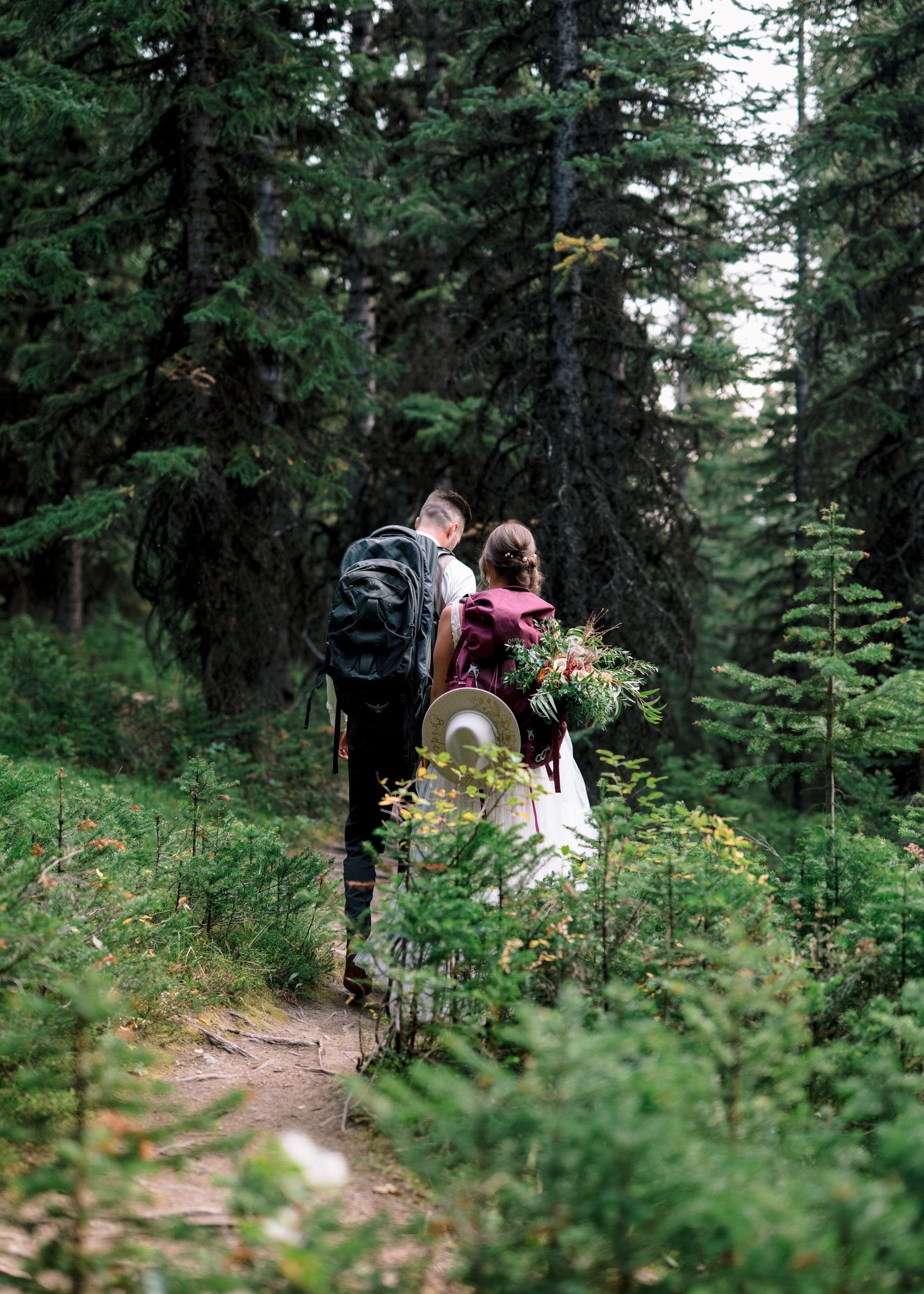 Two people hiking on a wooded trail surrounded by lush evergreen trees and foliage in a peaceful forest setting.