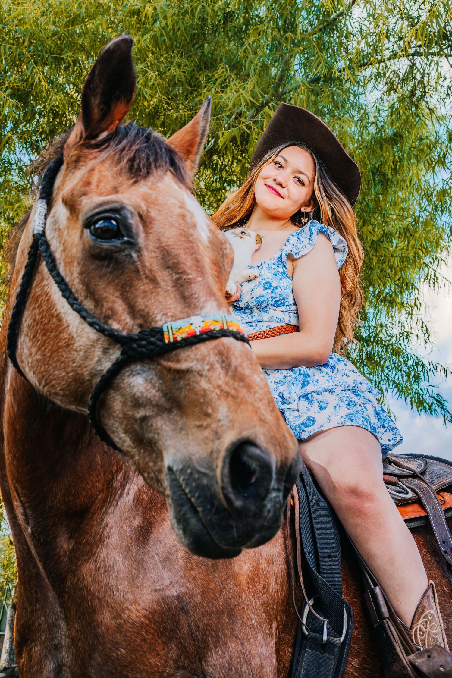 Close-up sequence showing a brown horse with a black bridle and someone in a blue floral dress sitting in the saddle.