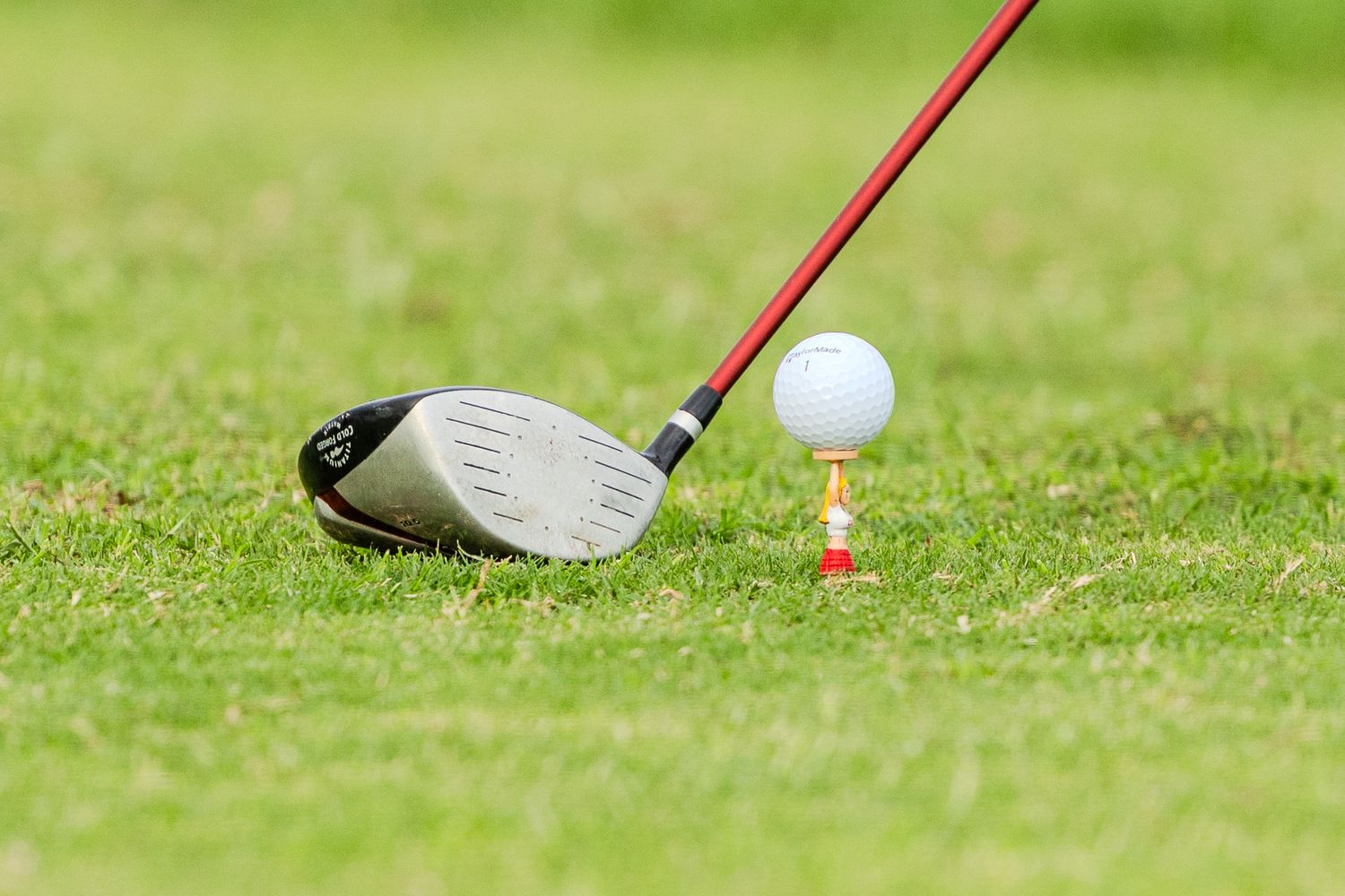 A sequence of golf club heads lined up next to golf balls on a green grass course.