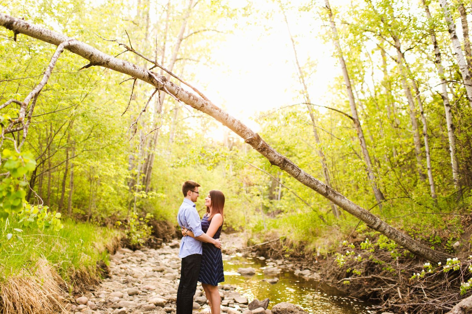 Couple embracing under a leaning tree in a sunlit forest, standing in a creek bed.