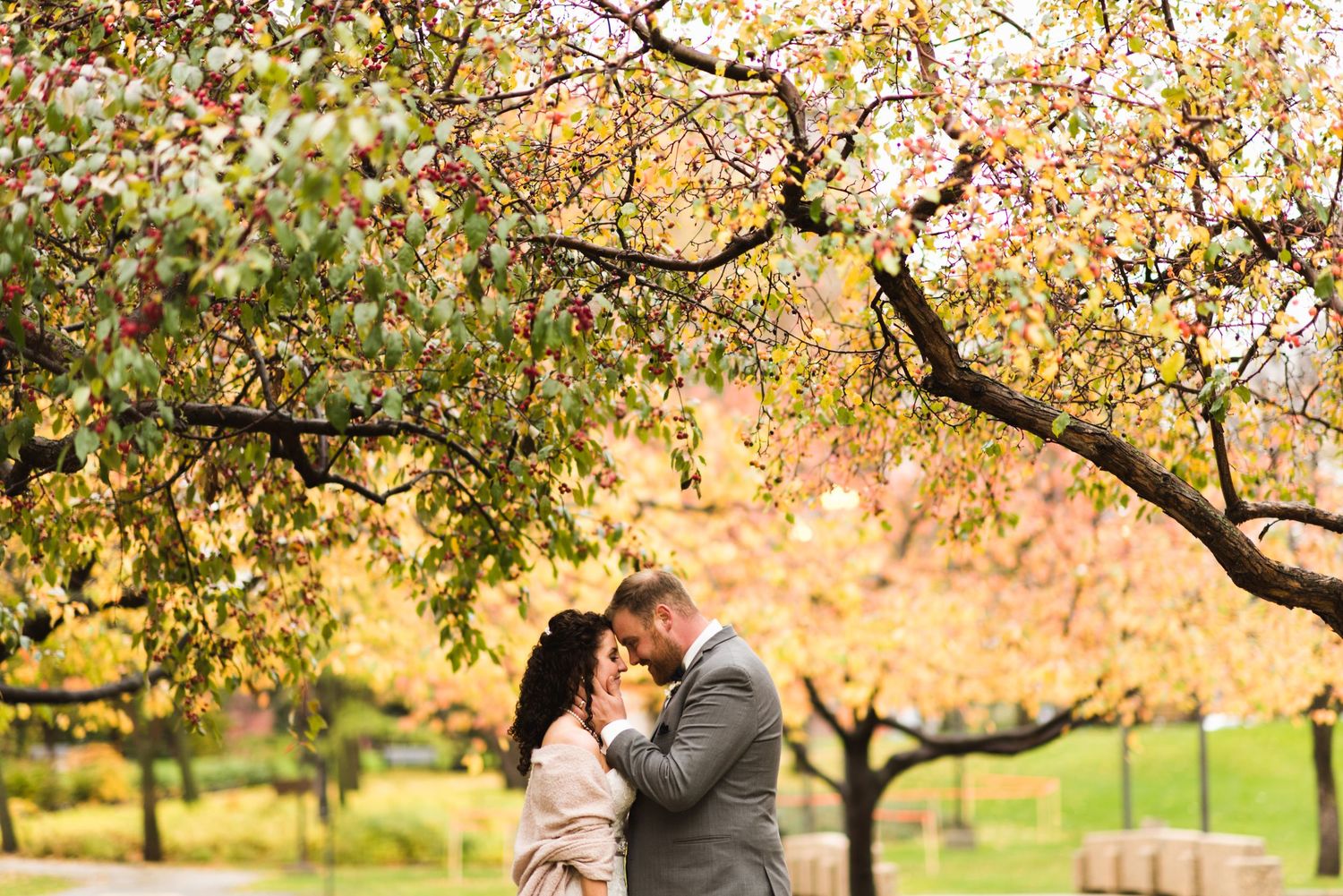 Bride and groom holding each other beneath a tree bursting with fall color and tiny blossoms in a city park, sharing a soft gaze.