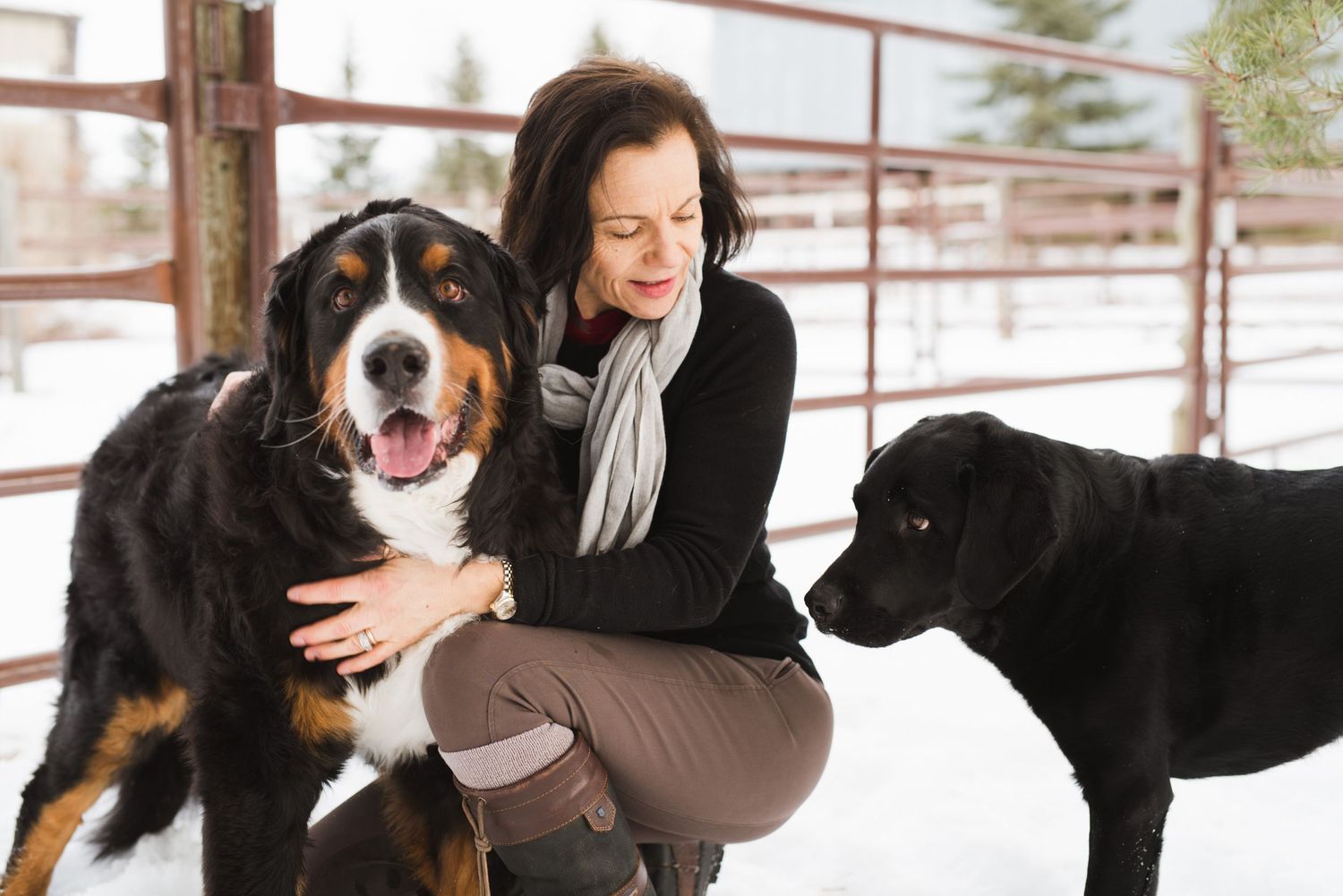 Woman warmly smiling at her dogs while kneeling in a snowy corral, one dog nudging her knee.