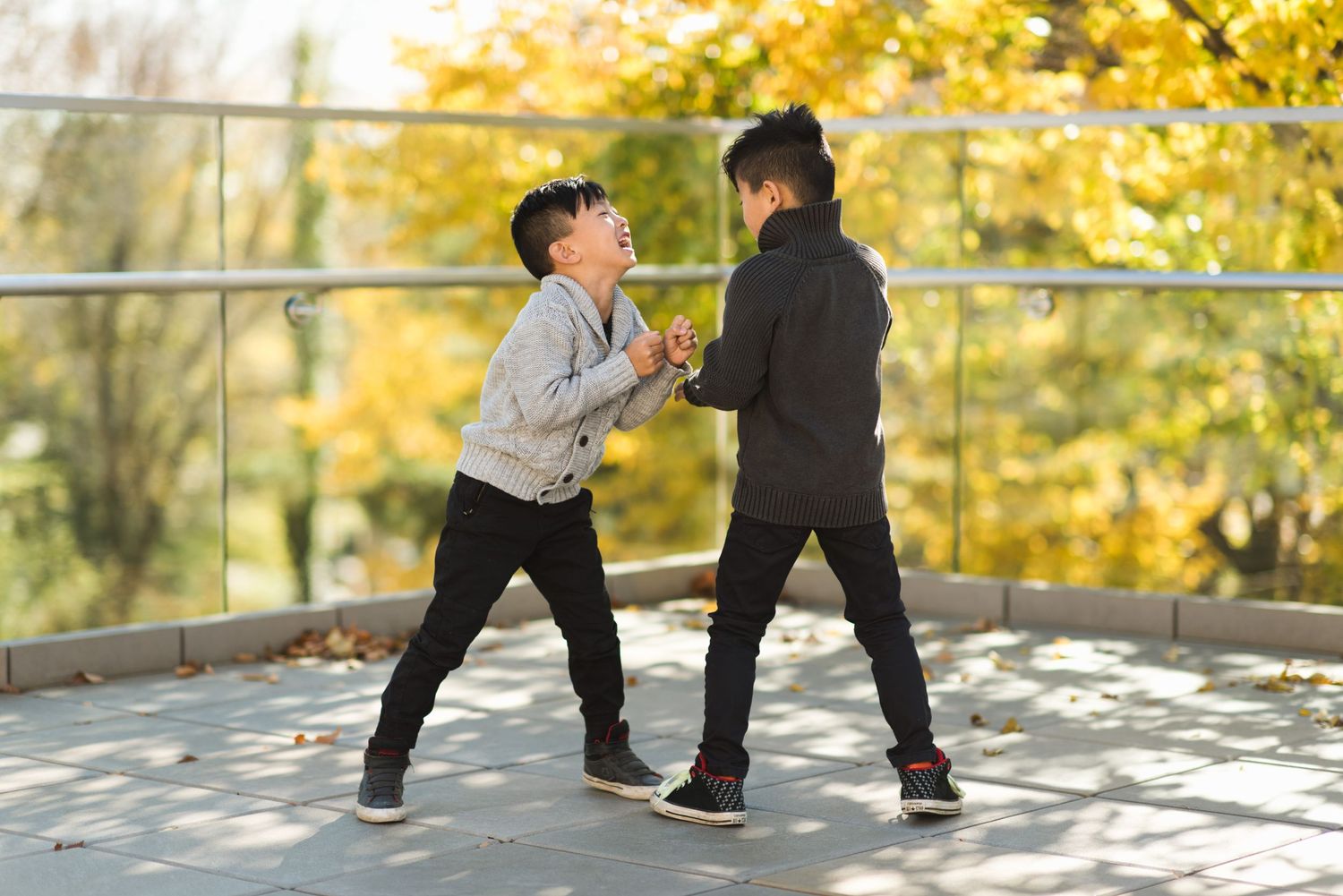 Two boys mock fighting and smiling on a sunlit platform with fall leaves in the background.