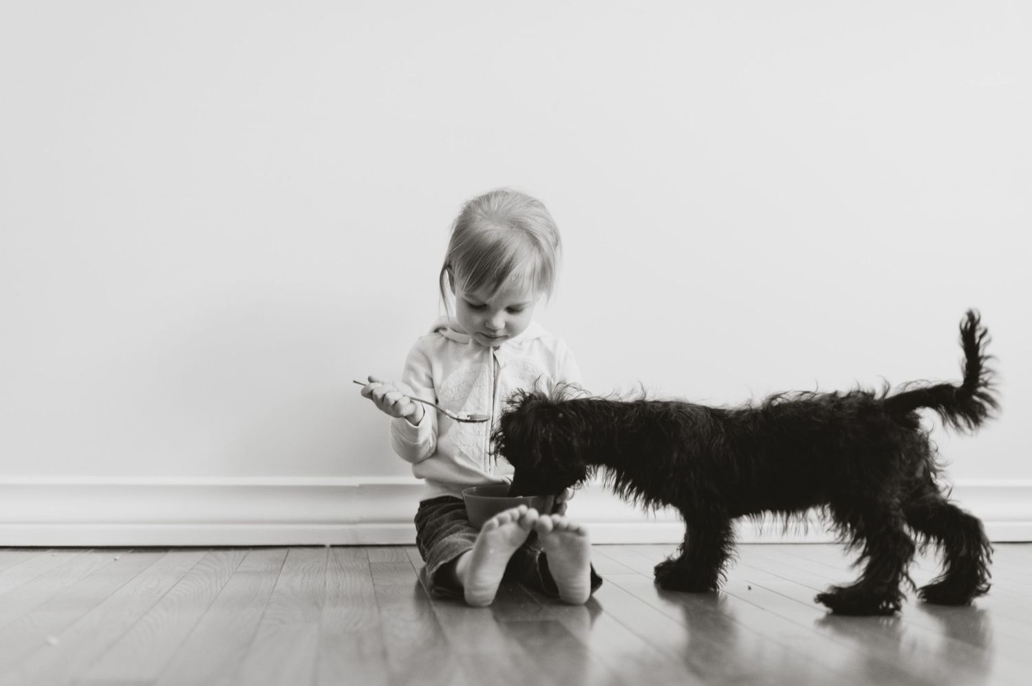 Toddler sitting on the floor offering a toy or branch to a playful puppy, black and white indoor lifestyle image.
