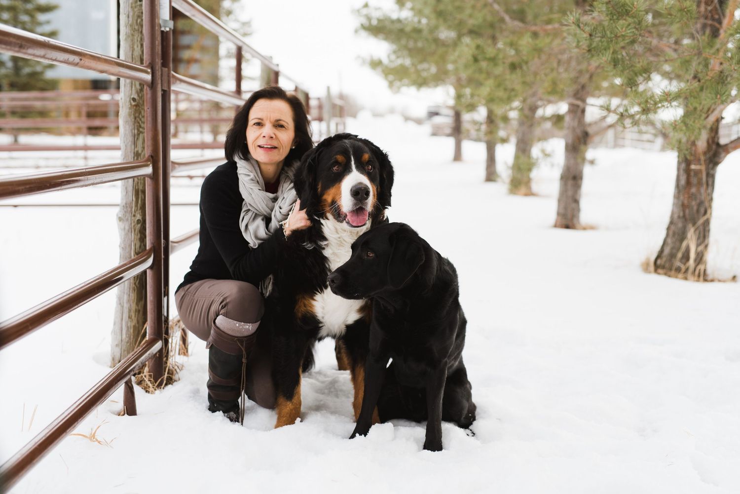 Portrait of woman squatting beside her Bernese mountain dog and black lab in a snowy paddock.