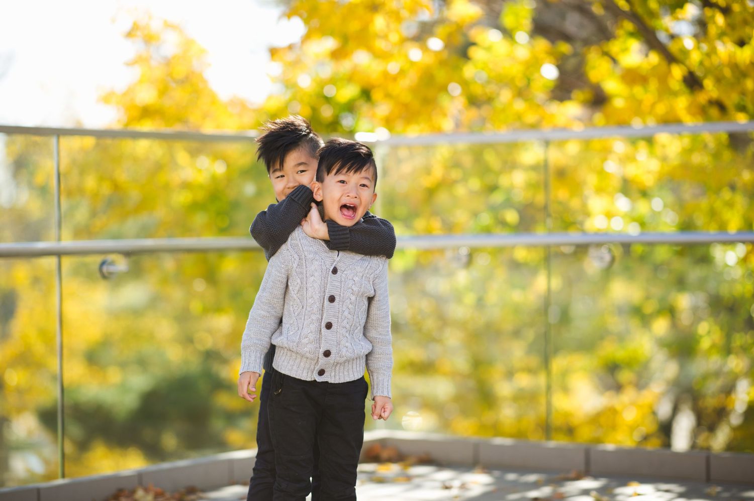 Young boy in a grey sweater being playfully held in a headlock by his brother, with bright autumn leaves behind them.