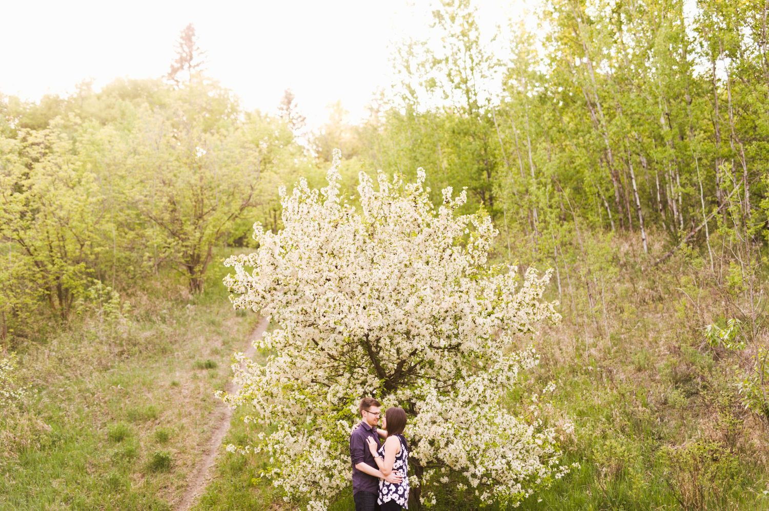 Couple kisses beneath blooming spring trees. Romantic nature session on a quiet trail in Cochrane.