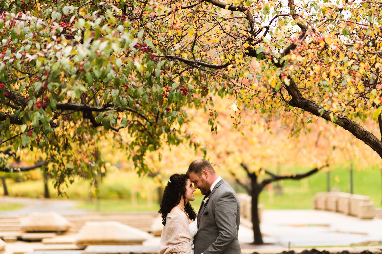 Groom kissing bride on the forehead beneath glowing fall trees in an urban park, golden leaves creating a romantic canopy above.