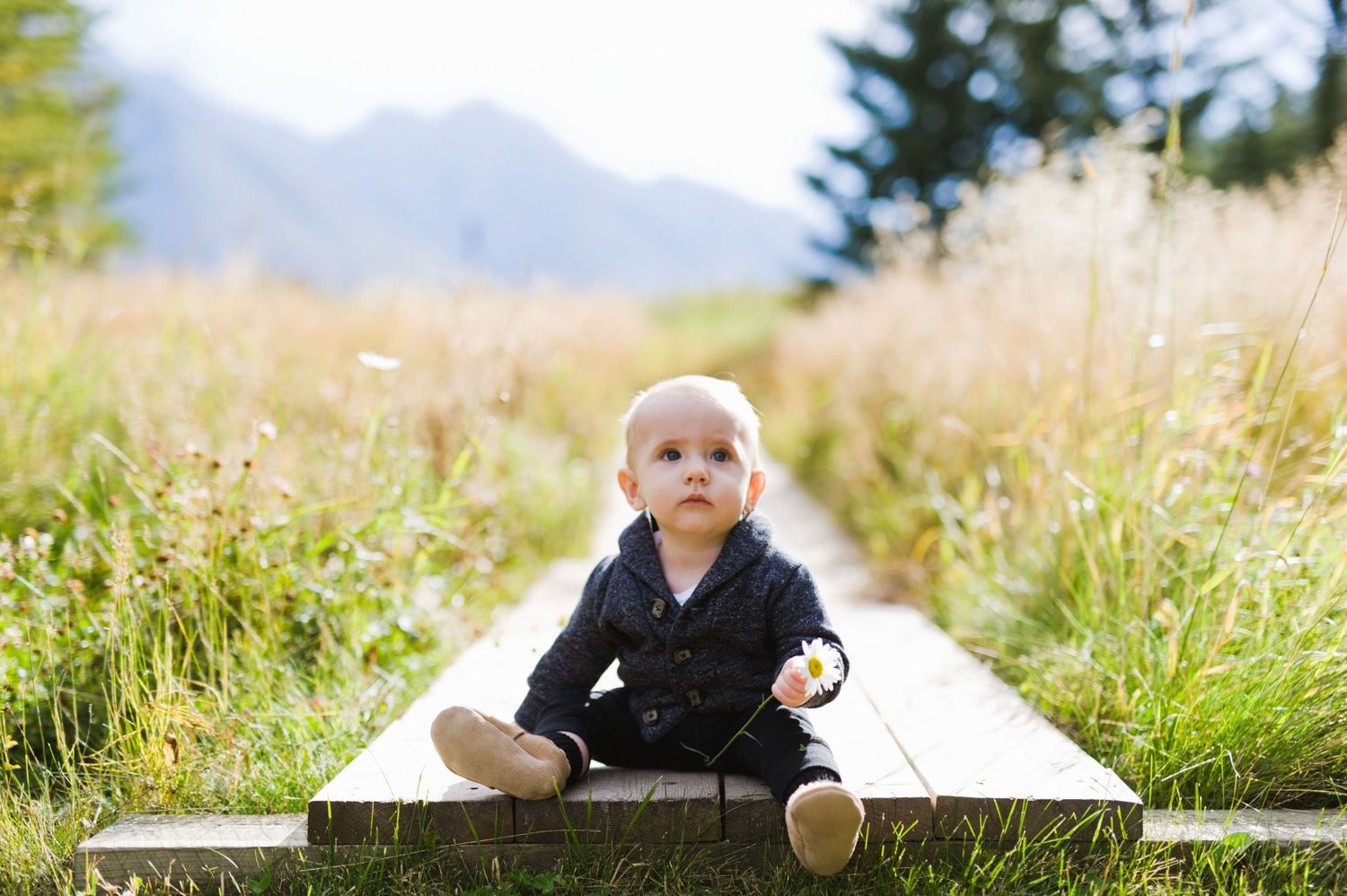Toddler sits on wooden path in tall grass with mountains behind. Kananaskis family photography session.