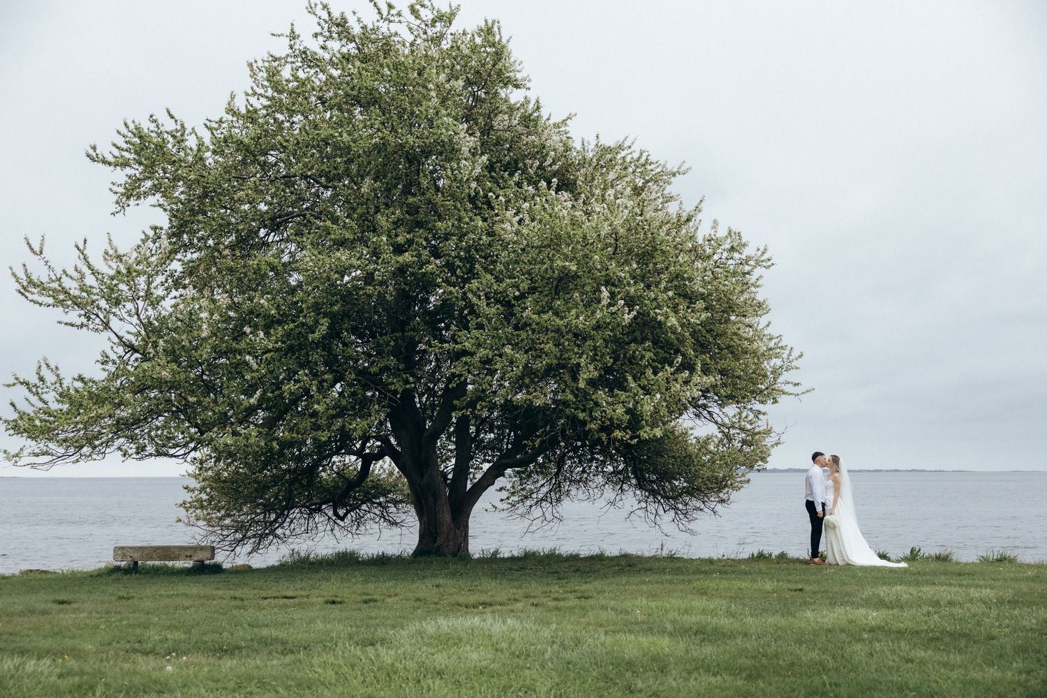 A wedding couple stands beneath a large tree on a hilltop with water in the background.