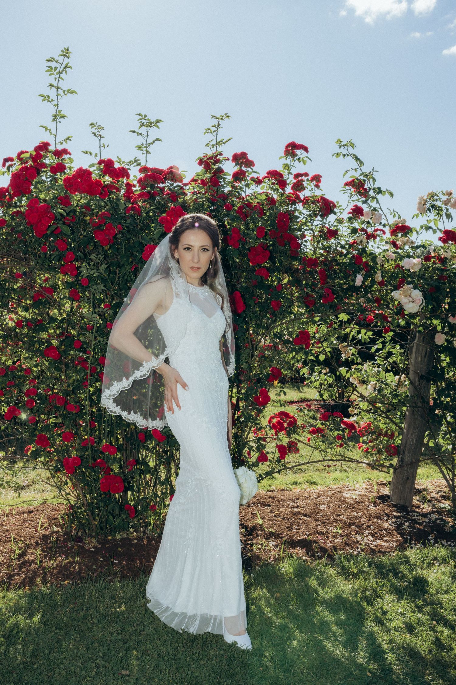 A bride poses playfully in a rose garden on a sunny summer day.
