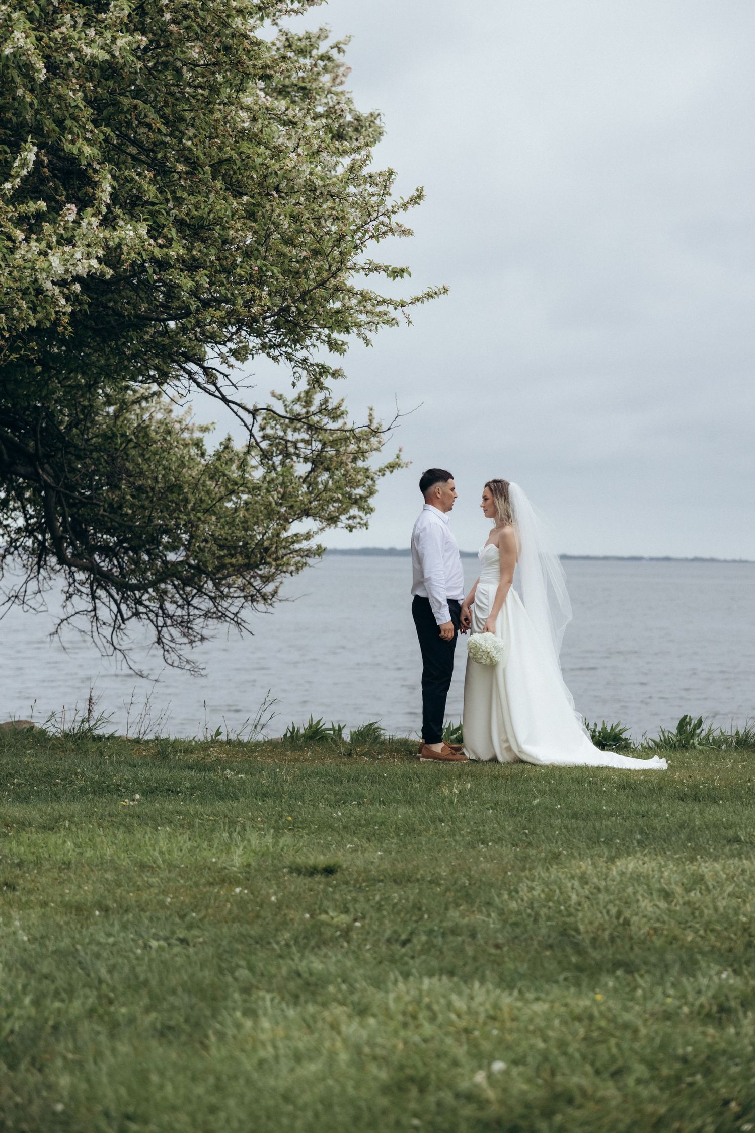 A couple shares an intimate moment on a grassy hill overlooking the ocean under an overhanging tree.