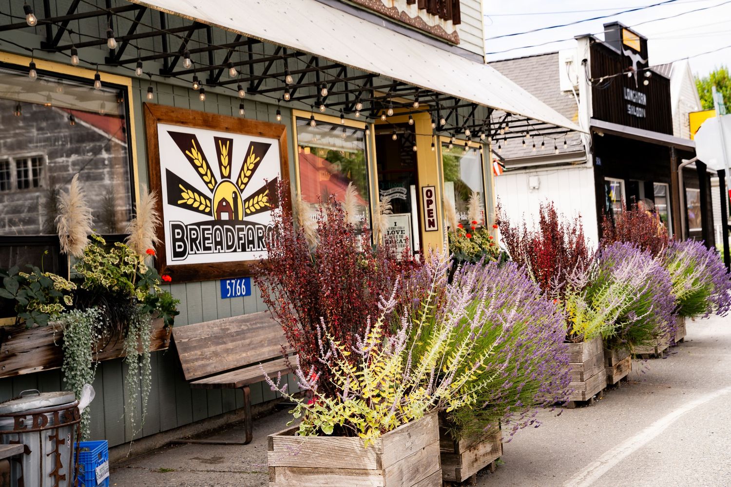 Breader's bakery storefront with colorful flower planters and rustic wooden decor on a charming street.