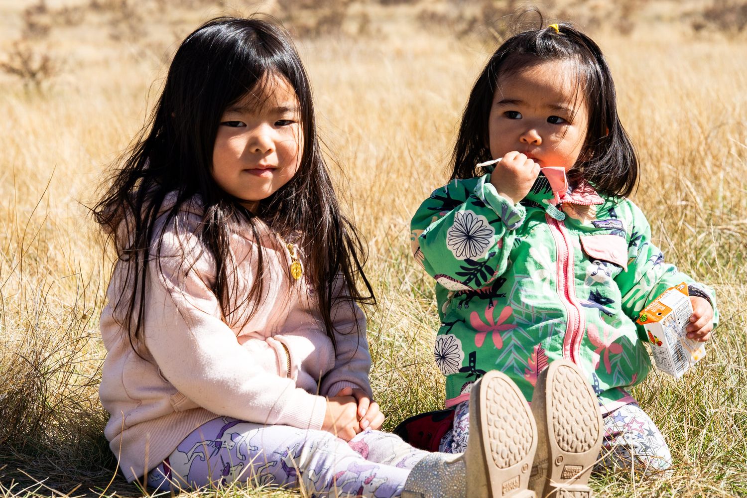 Two young Asian toddler girls sitting together in golden dry grass field on a sunny day outdoors.