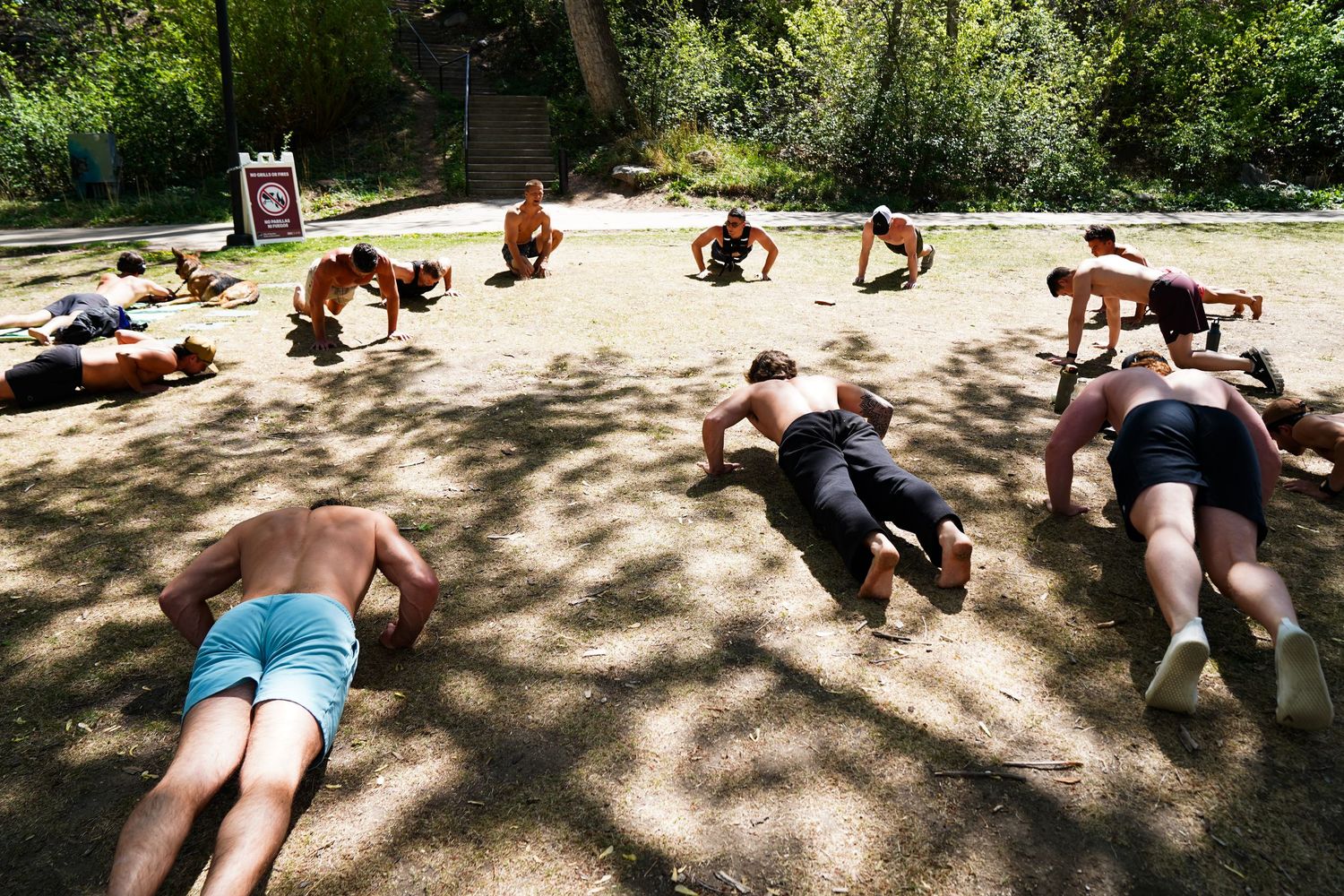 Group of people doing push-ups and exercise drills outdoors in a shaded park during a fitness boot camp.