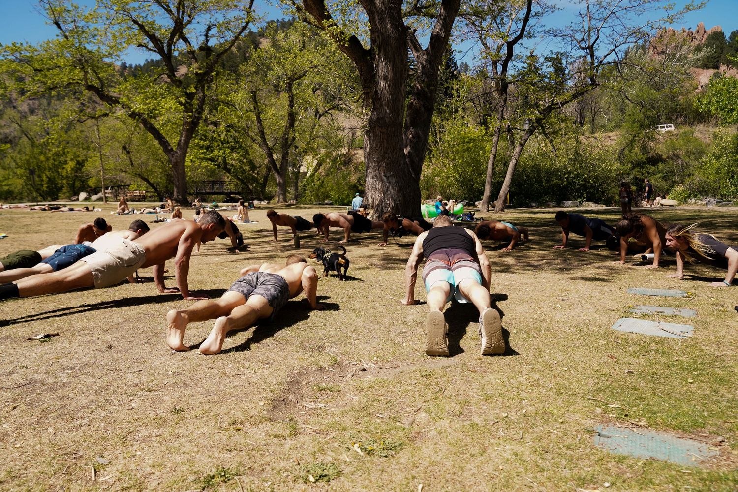Group fitness class doing push-ups outdoors under large trees in a sunny park with red rock mountains in background.