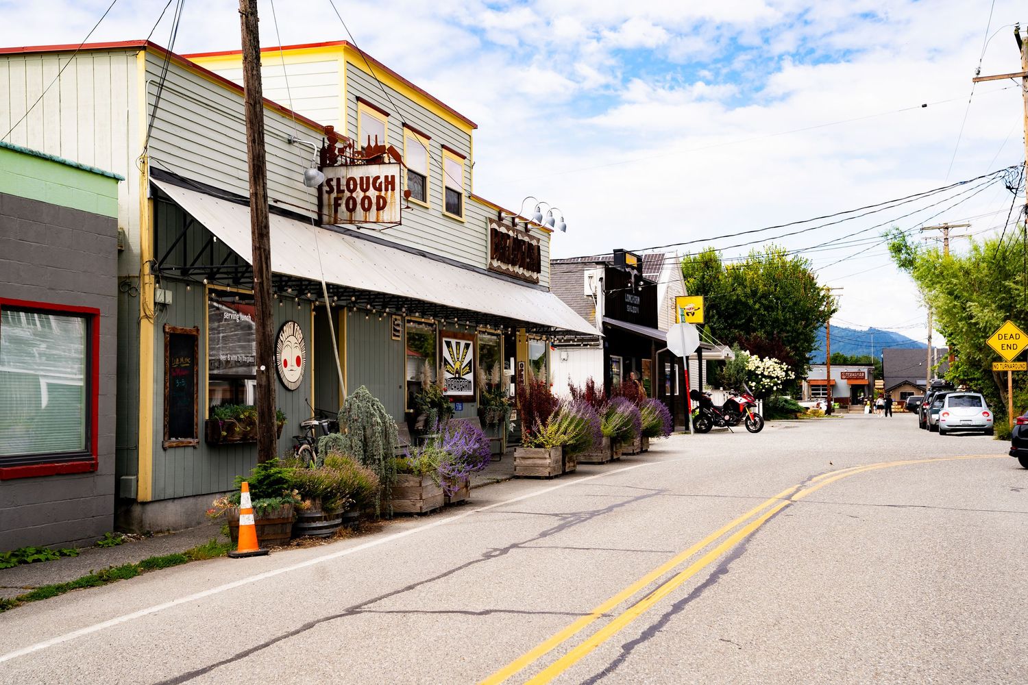 Charming small-town main street with eclectic shops, flower planters, and mountain views on a cloudy day.