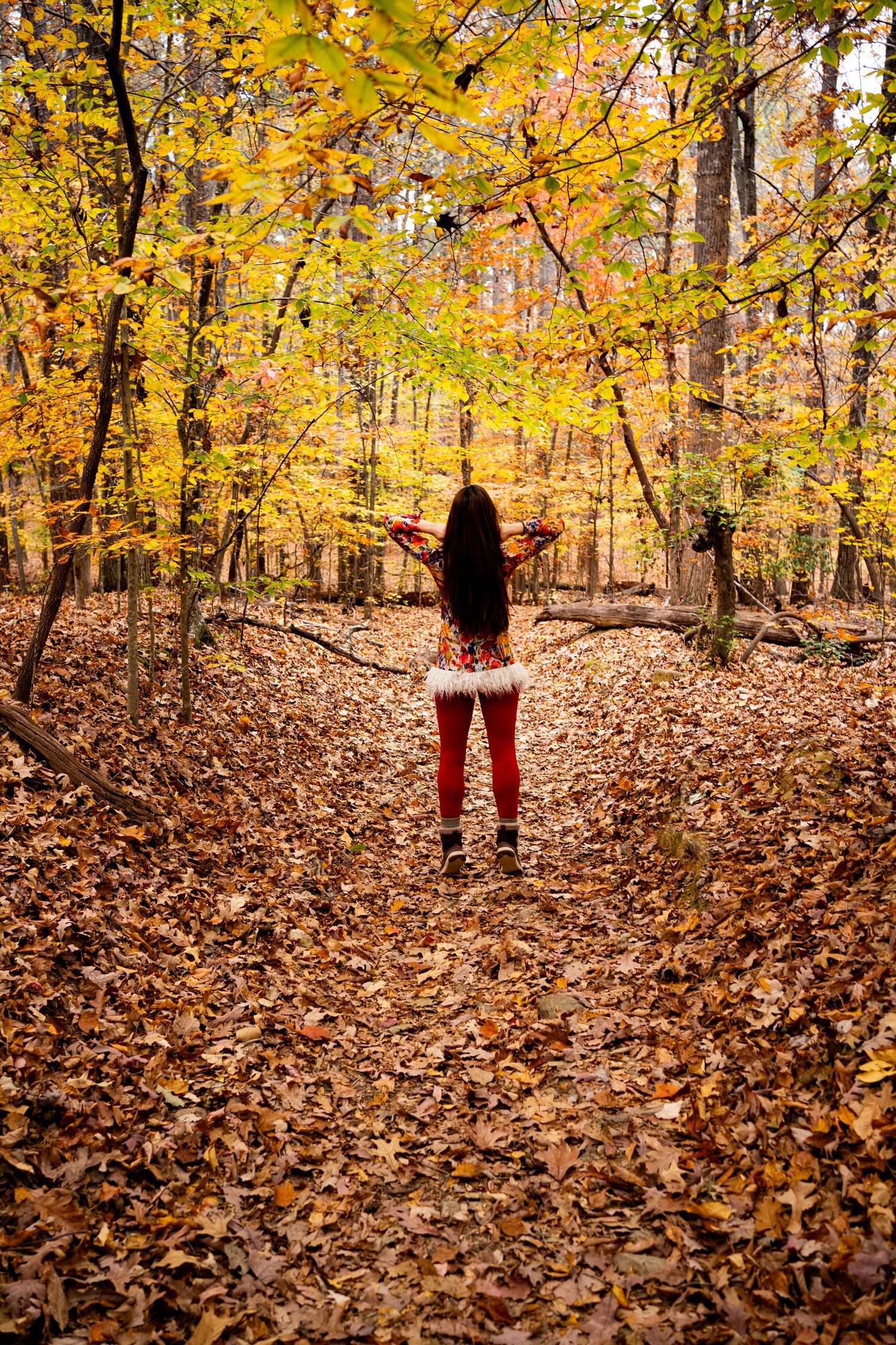 Person walking through autumn forest with fallen leaves covering ground as golden foliage glows overhead.