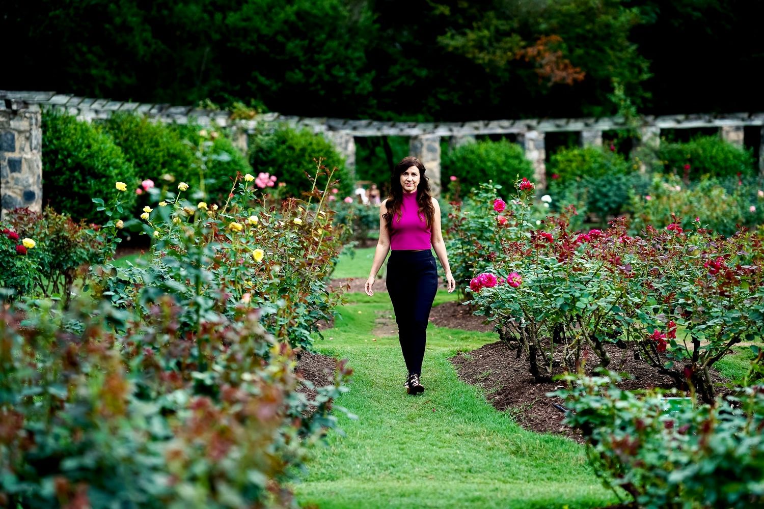 A scenic path winds through a lush rose garden with blooming flowers and green foliage on a summer day.